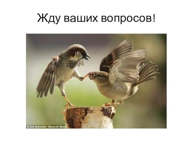 Жду ваших вопросов!