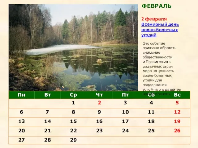 2 февраля Всемирный день водно-болотных угодий ФЕВРАЛЬ Это событие призвано обратить внимание