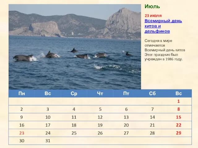 23 июля Всемирный день китов и дельфинов Сегодня в мире отмечается Всемирный