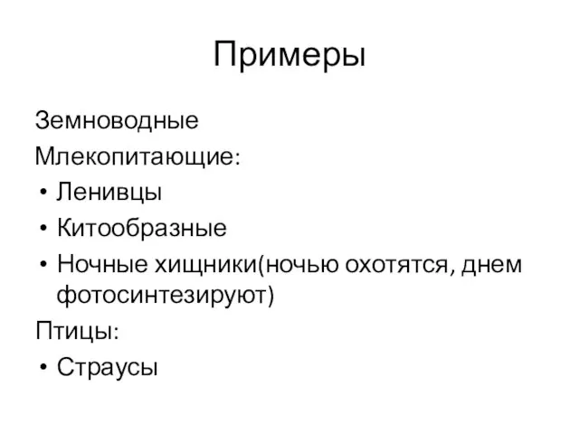 Примеры Земноводные Млекопитающие: Ленивцы Китообразные Ночные хищники(ночью охотятся, днем фотосинтезируют) Птицы: Страусы