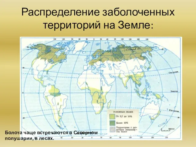 Распределение заболоченных территорий на Земле: Болота чаще встречаются в Северном полушарии, в лесах.