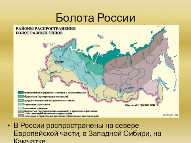 Болота России В России распространены на севере Европейской части, в Западной Сибири, на Камчатке.