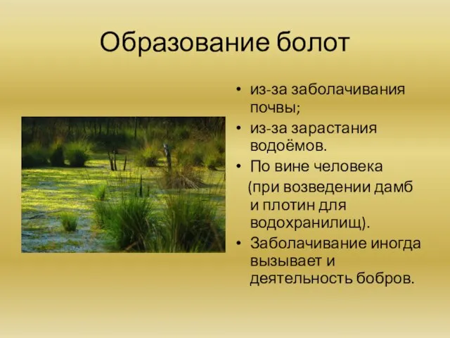 Образование болот из-за заболачивания почвы; из-за зарастания водоёмов. По вине человека (при