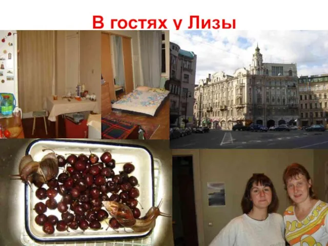 В гостях у Лизы