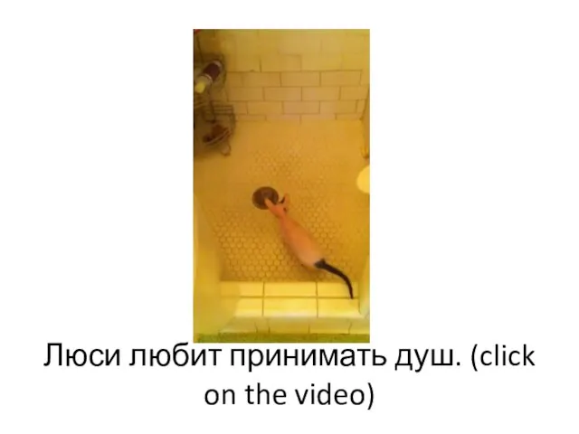 Люси любит принимать душ. (click on the video)