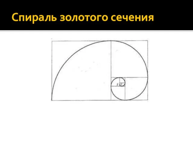 Спираль золотого сечения