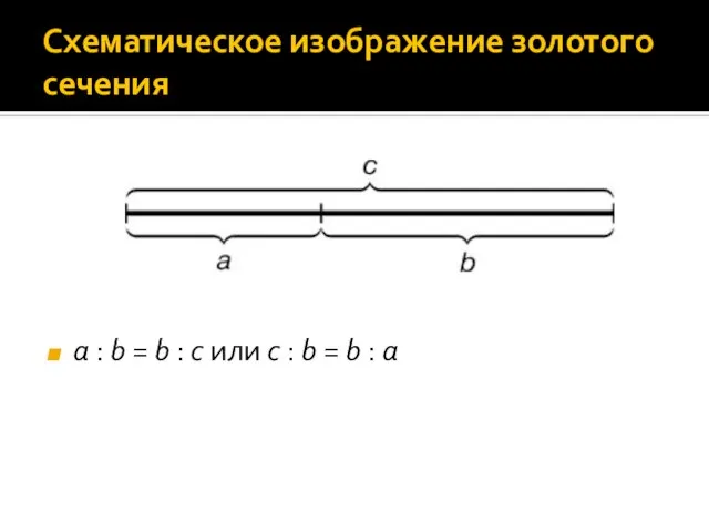 Схематическое изображение золотого сечения a : b = b : c или