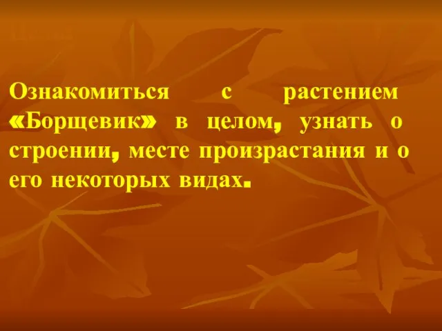 Цель: Ознакомиться с растением «Борщевик» в целом, узнать о строении, месте произрастания