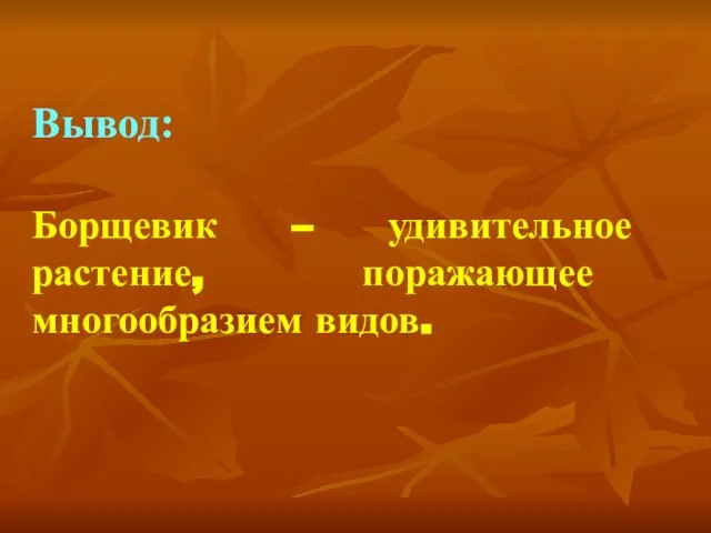 Вывод: Борщевик – удивительное растение, поражающее многообразием видов.