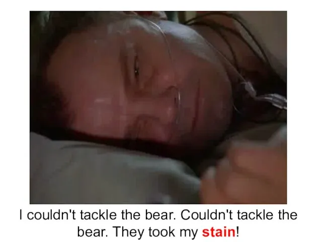 I couldn't tackle the bear. Couldn't tackle the bear. They took my stain!