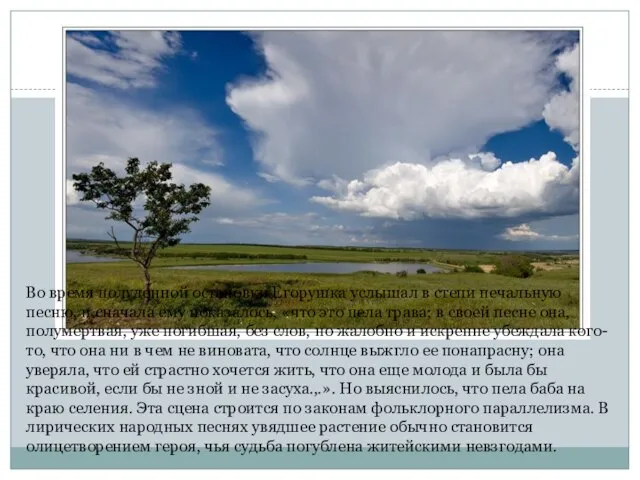 Во время полуденной остановки Егорушка услышал в степи печальную песню, и сначала