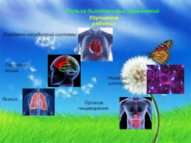 Польза дыхательных упражнений Сердечно-сосудистой системы Головного мозга. Легких. Нервной системы. Органов пищеварения. Улучшение работы:
