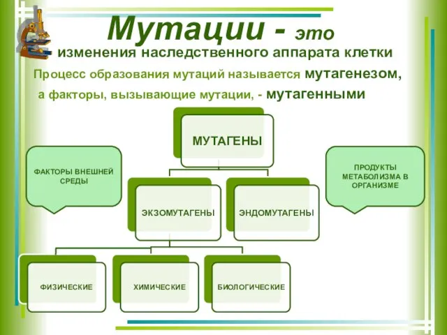 Мутации - это изменения наследственного аппарата клетки Процесс образования мутаций называется мутагенезом,