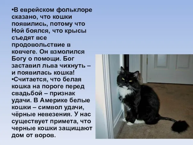 •В еврейском фольклоре сказано, что кошки появились, потому что Ной боялся, что