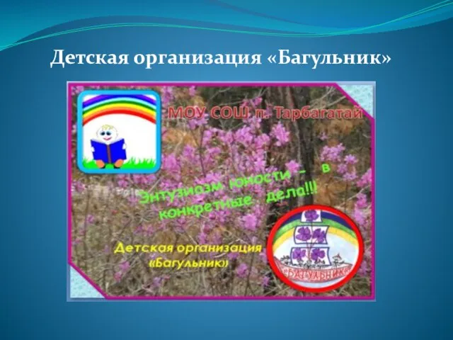 Детская организация «Багульник»