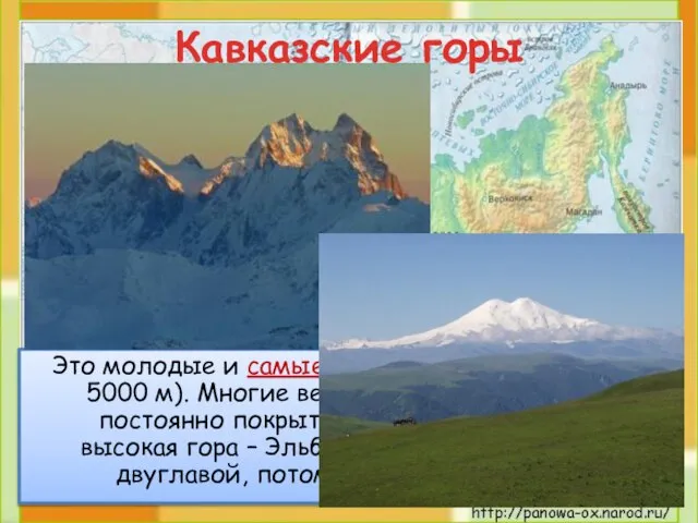 Кавказские горы Это молодые и самые высокие горы России (до 5000 м).