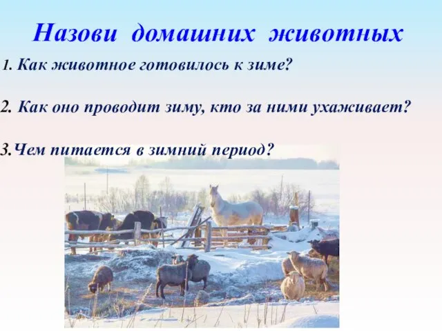 Назови домашних животных Как животное готовилось к зиме? Как оно проводит зиму,