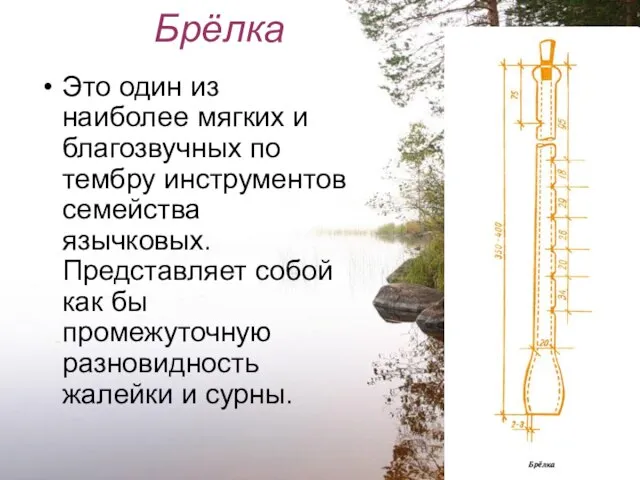Брёлка Это один из наиболее мягких и благозвучных по тембру инструментов семейства