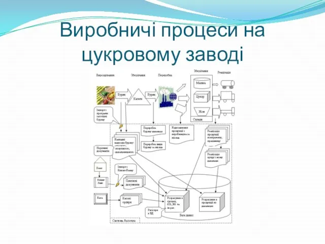 Виробничі процеси на цукровому заводі