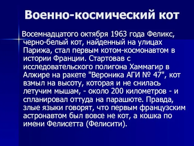 Военно-космический кот Восемнадцатого октября 1963 года Феликс, черно-белый кот, найденный на улицах