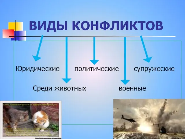 ВИДЫ КОНФЛИКТОВ Юридические политические супружеские Среди животных военные