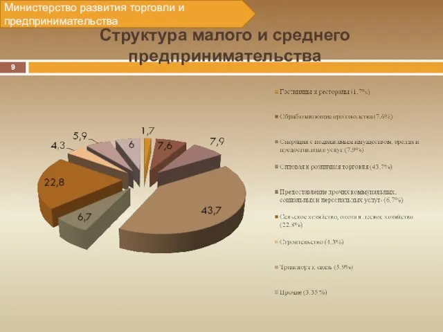 Структура малого и среднего предпринимательства Министерство развития торговли и предпринимательства