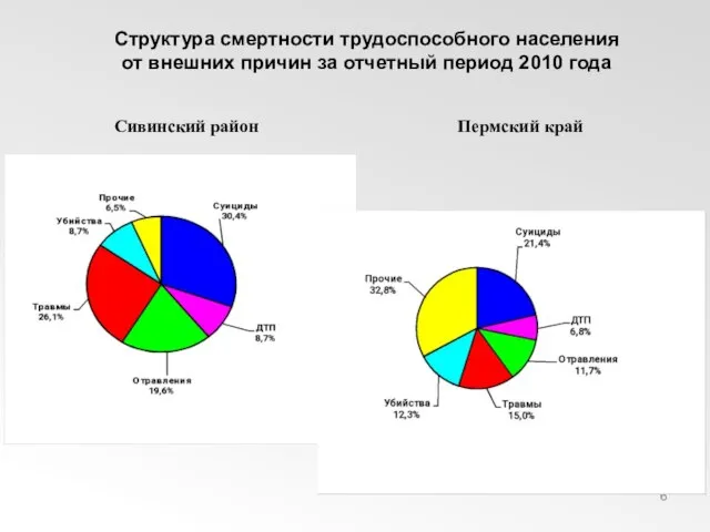 Структура смертности трудоспособного населения от внешних причин за отчетный период 2010 года Сивинский район Пермский край