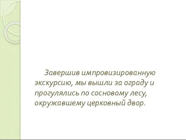 Завершив импровизированную экскурсию, мы вышли за ограду и прогулялись по сосновому лесу, окружавшему церковный двор.