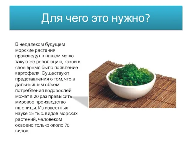 Для чего это нужно? В недалеком будущем морские растения произведут в нашем