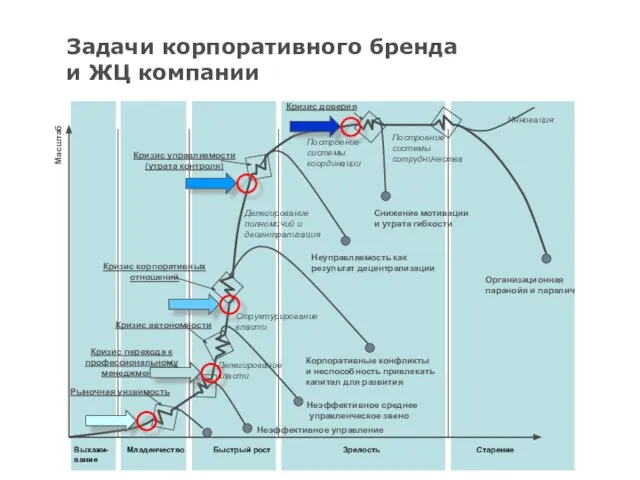 Выхажи- вание Младенчество Быстрый рост Зрелость Старение Масштаб Неэффективное управление Неэффективное среднее