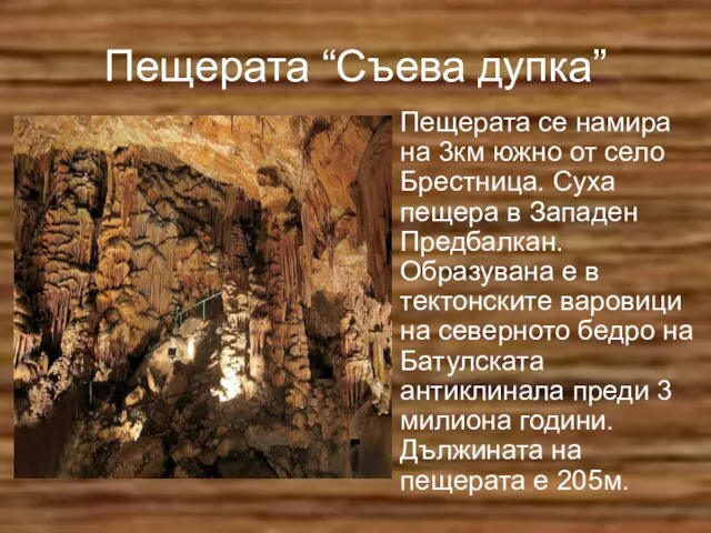 Пещерата “Съева дупка” Пещерата се намира на 3км южно от село Брестница.