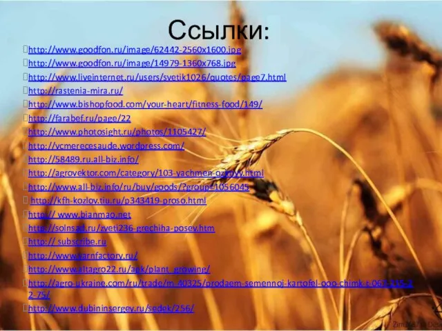 Ссылки: http://www.goodfon.ru/image/62442-2560x1600.jpg http://www.goodfon.ru/image/14979-1360x768.jpg http://www.liveinternet.ru/users/svetik1026/quotes/page7.html http://rastenia-mira.ru/ http://www.bishopfood.com/your-heart/fitness-food/149/ http://farabef.ru/page/22 http://www.photosight.ru/photos/1105427/ http://vcmerecesaude.wordpress.com/ http://58489.ru.all-biz.info/ http://agrovektor.com/category/103-yachmen-ozimyy.html http://www.all-biz.info/ru/buy/goods/?group=1056045