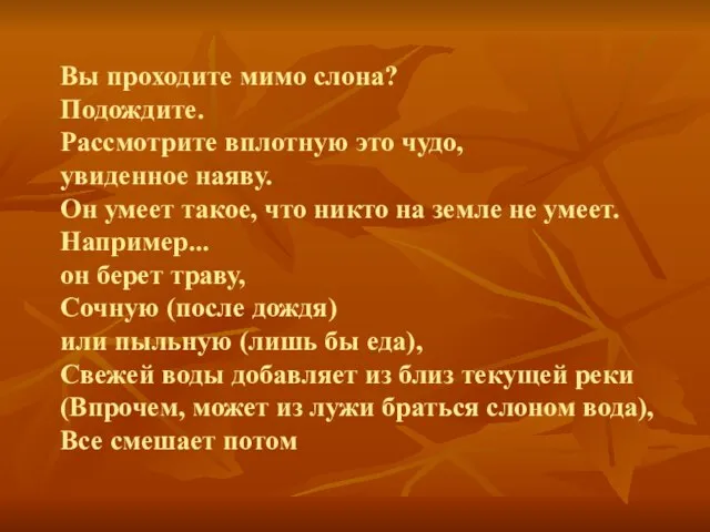 Вы проходите мимо слона? Подождите. Рассмотрите вплотную это чудо, увиденное наяву. Он