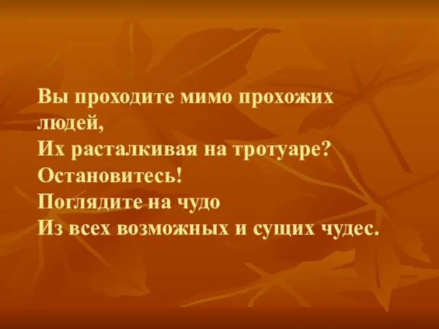 Вы проходите мимо прохожих людей, Их расталкивая на тротуаре? Остановитесь! Поглядите на