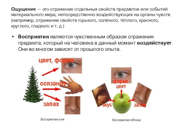 Ощущение — это отражение отдельных свойств предметов или событий материального мира, непосредственно