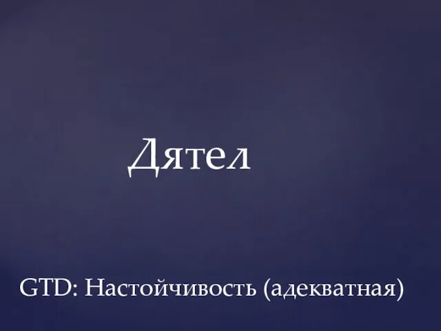 GTD: Настойчивость (адекватная) Дятел