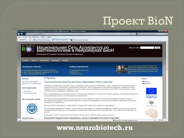 Проект BioN www.neurobiotech.ru