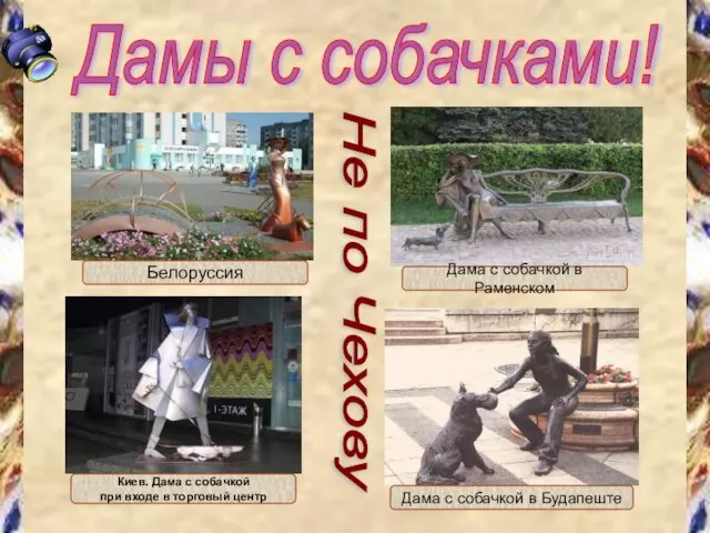 Дамы с собачками! Белоруссия Дама с собачкой в Раменском Киев. Дама с