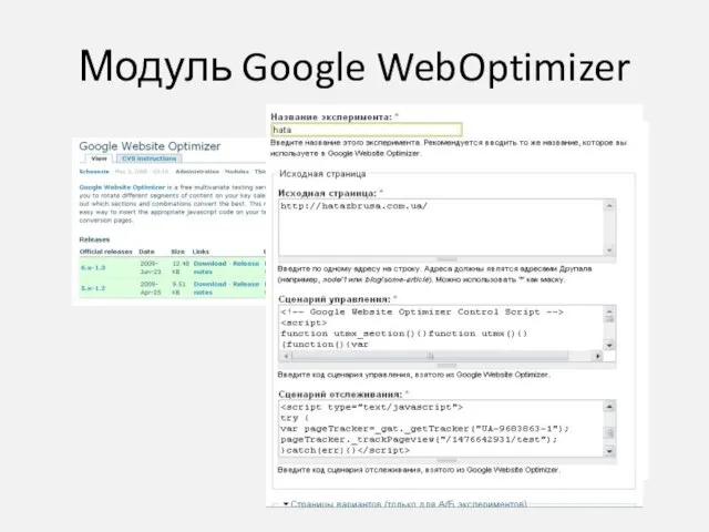 Модуль Google WebOptimizer