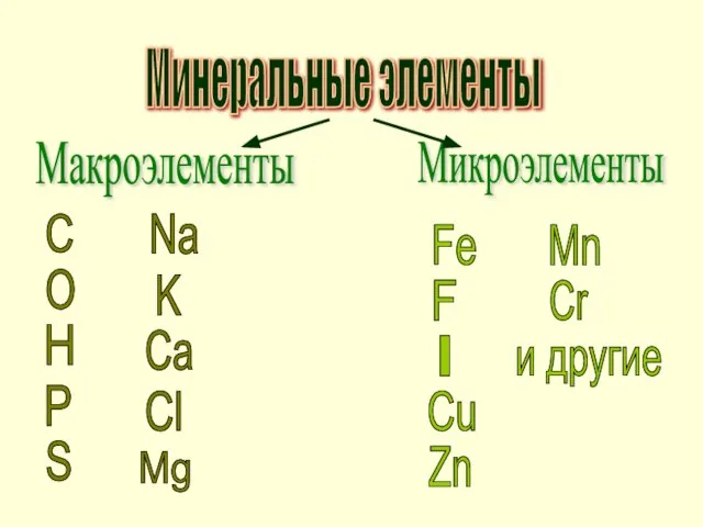 Минеральные элементы Макроэлементы Микроэлементы O H C P S Na K Ca
