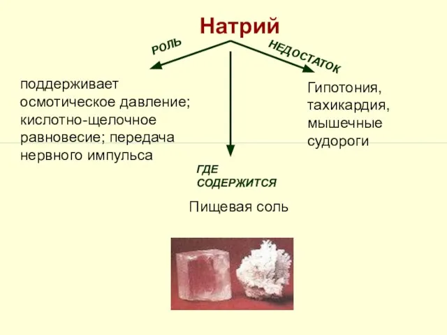 Натрий поддерживает осмотическое давление; кислотно-щелочное равновесие; передача нервного импульса Гипотония, тахикардия, мышечные