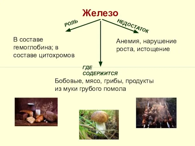 Железо РОЛЬ НЕДОСТАТОК ГДЕ СОДЕРЖИТСЯ В составе гемоглобина; в составе цитохромов Анемия,