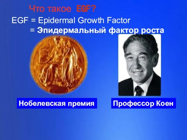 EGF = Epidermal Growth Factor = Эпидермальный фактор роста Что такое EGF?