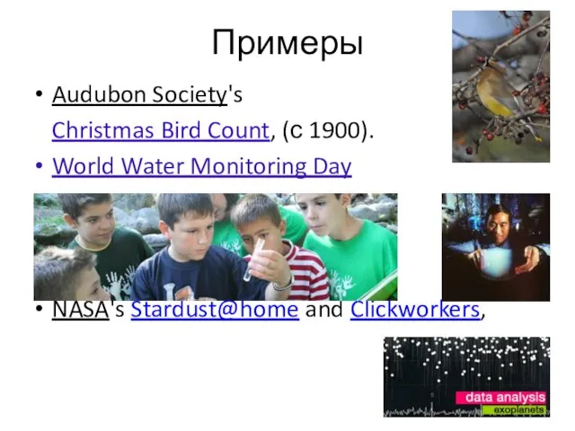 Примеры Audubon Society's Christmas Bird Count, (с 1900). World Water Monitoring Day NASA's Stardust@home and Clickworkers,