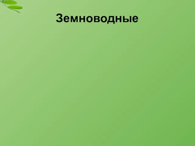 Земноводные