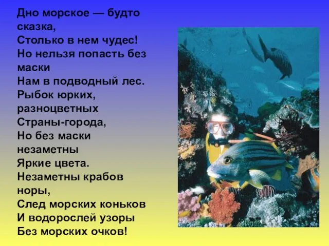 Дно морское — будто сказка, Столько в нем чудес! Но нельзя попасть