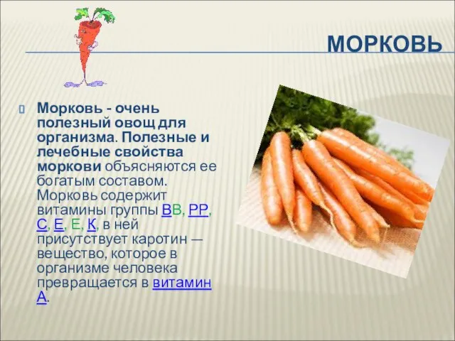 МОРКОВЬ Морковь - очень полезный овощ для организма. Полезные и лечебные свойства