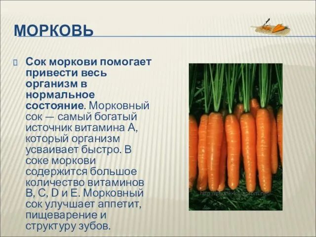 МОРКОВЬ Сок моркови помогает привести весь организм в нормальное состояние. Морковный сок