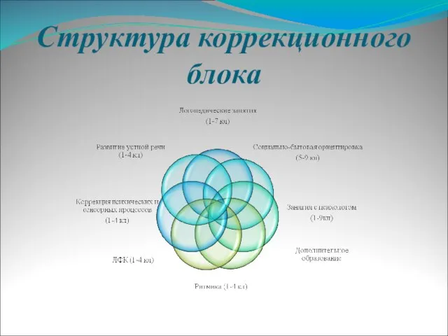 Структура коррекционного блока