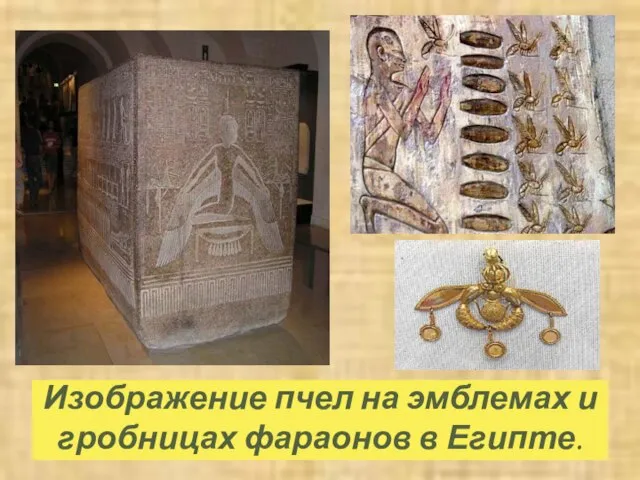 Изображение пчел на эмблемах и гробницах фараонов в Египте.